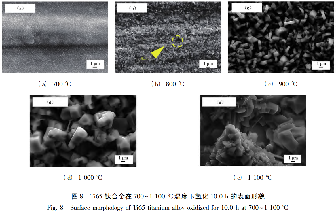 截圖20251105165938.png
